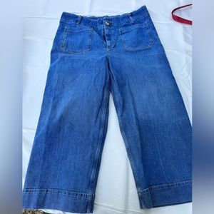 Pilcro Anthropologie wide leg crop jeans 16W